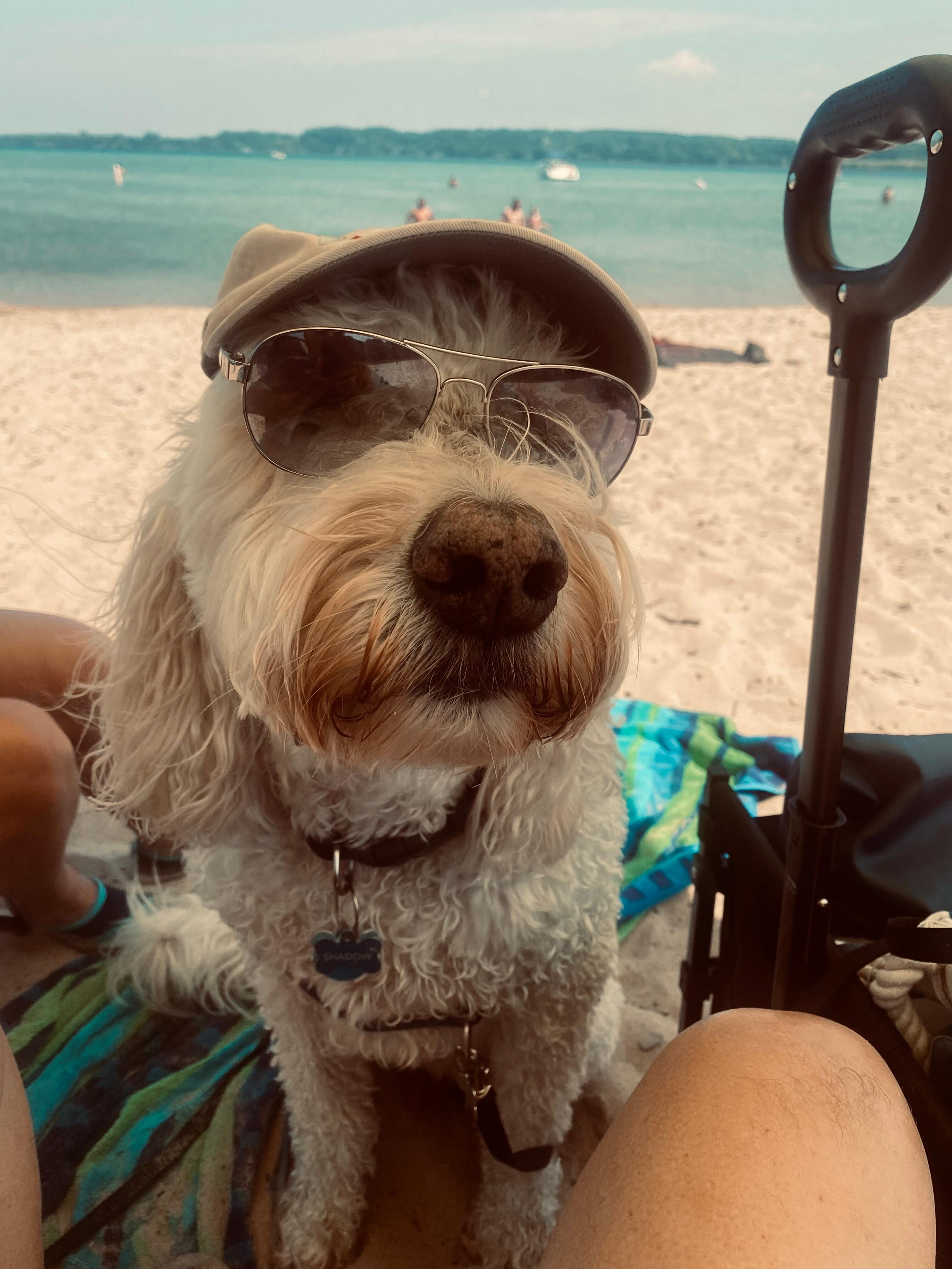 Dog friendly (on leash) beach. 