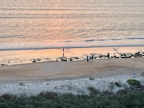 Observe low tide to see the rocks just offshore. You can the avoid when swimming