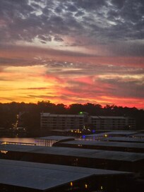 Watching the sunrise on the porch while drinking coffee