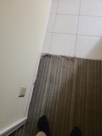 Nasty carpet