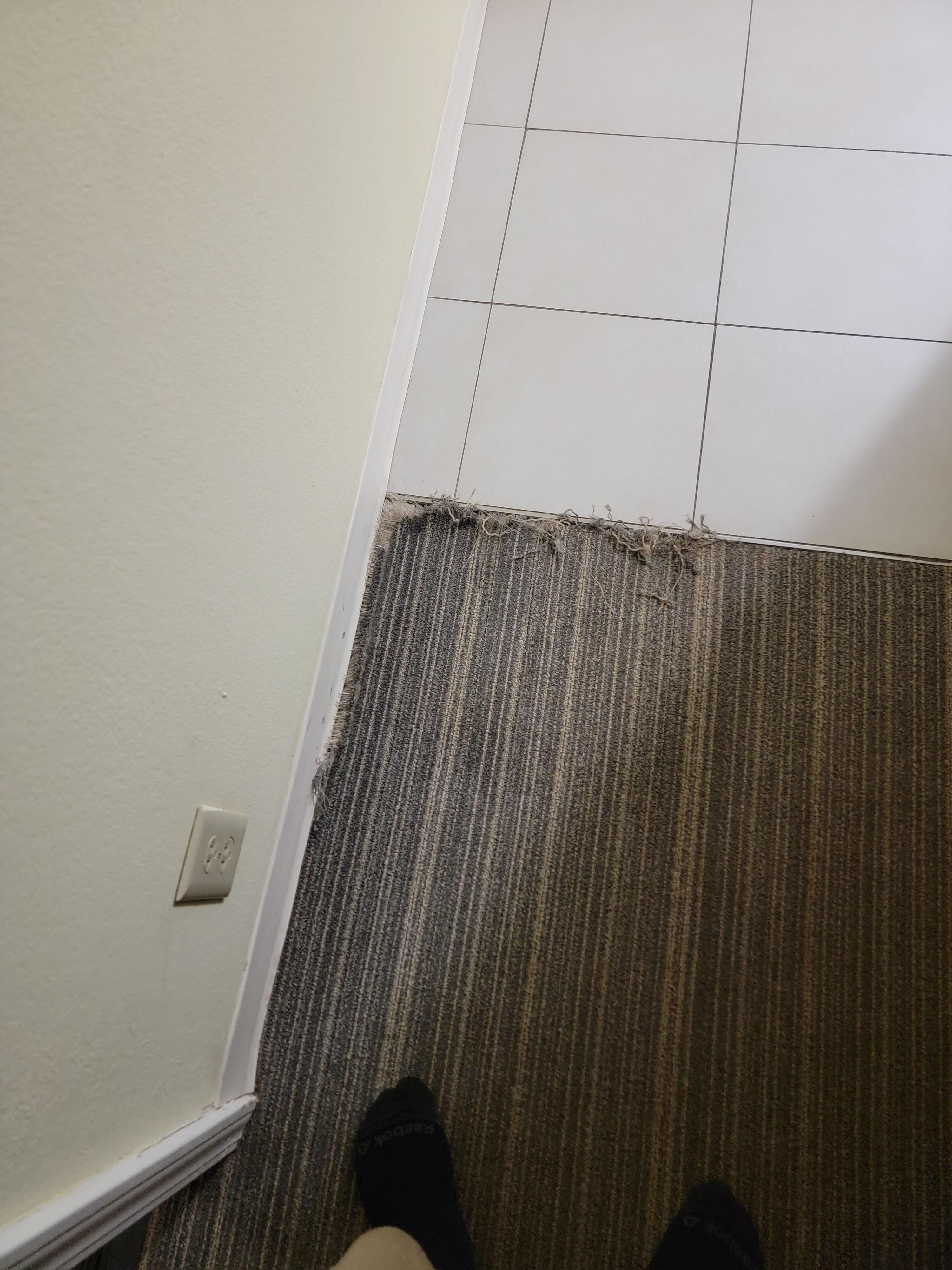 Nasty carpet