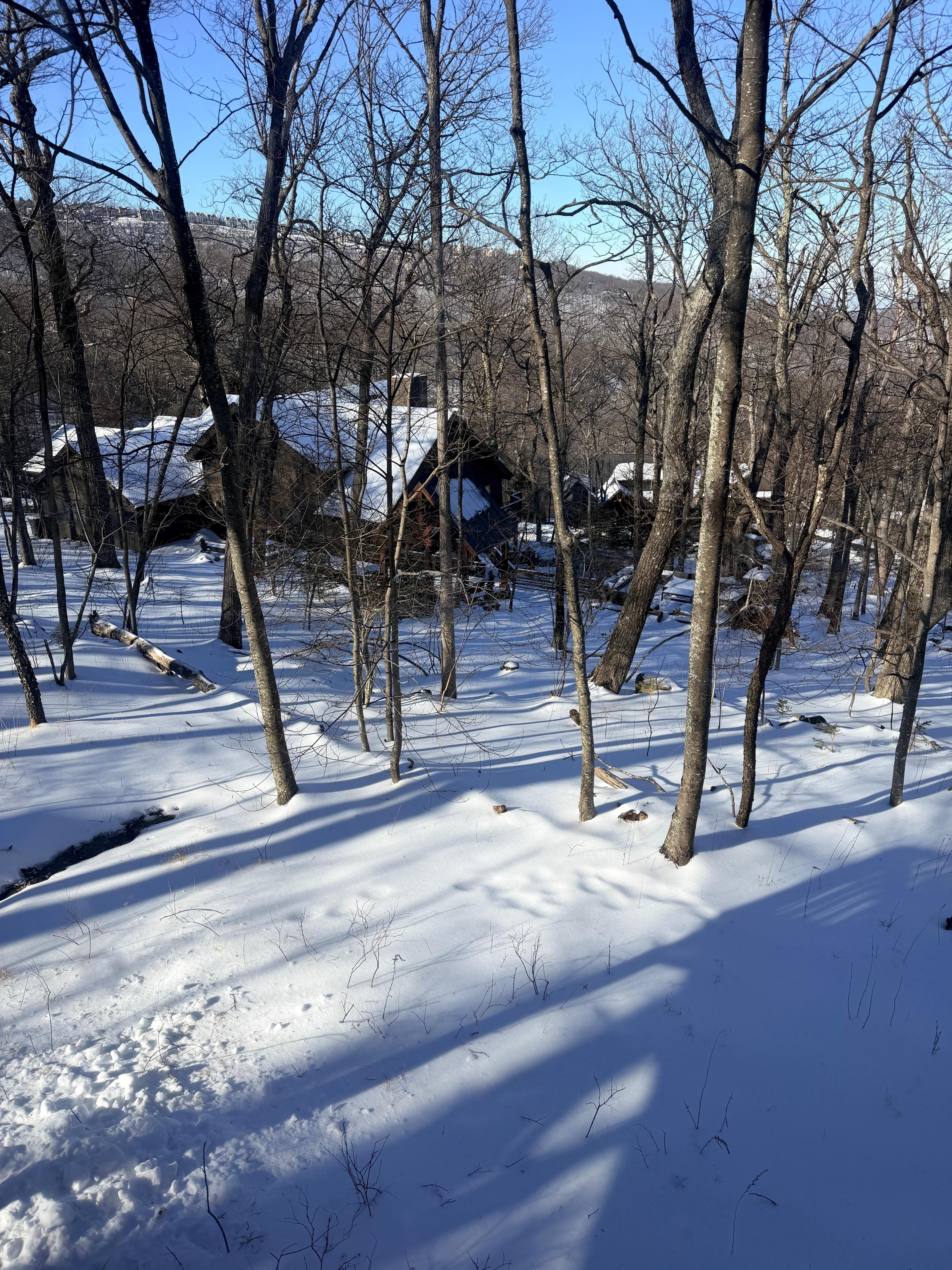 View from the warm living room!