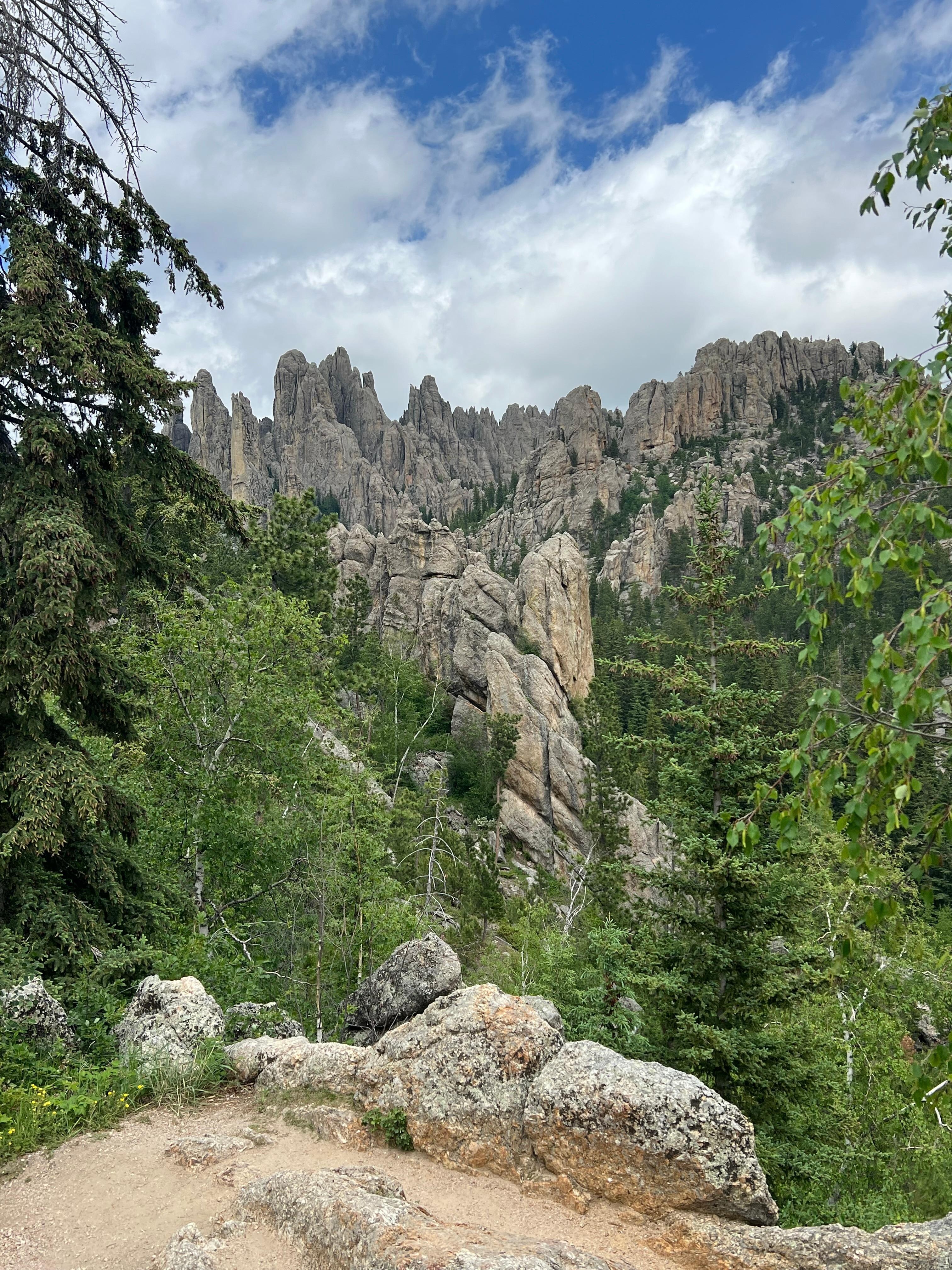 Needles Hwy.