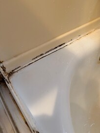 Black Mold in Bathtub