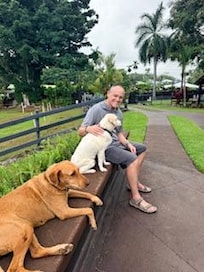 Sweet pups to greet us!