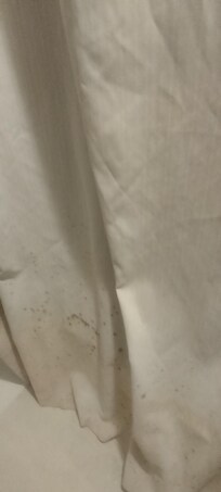 mold all over shower curtain