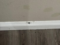 Mold. Room 212 first room I checked in