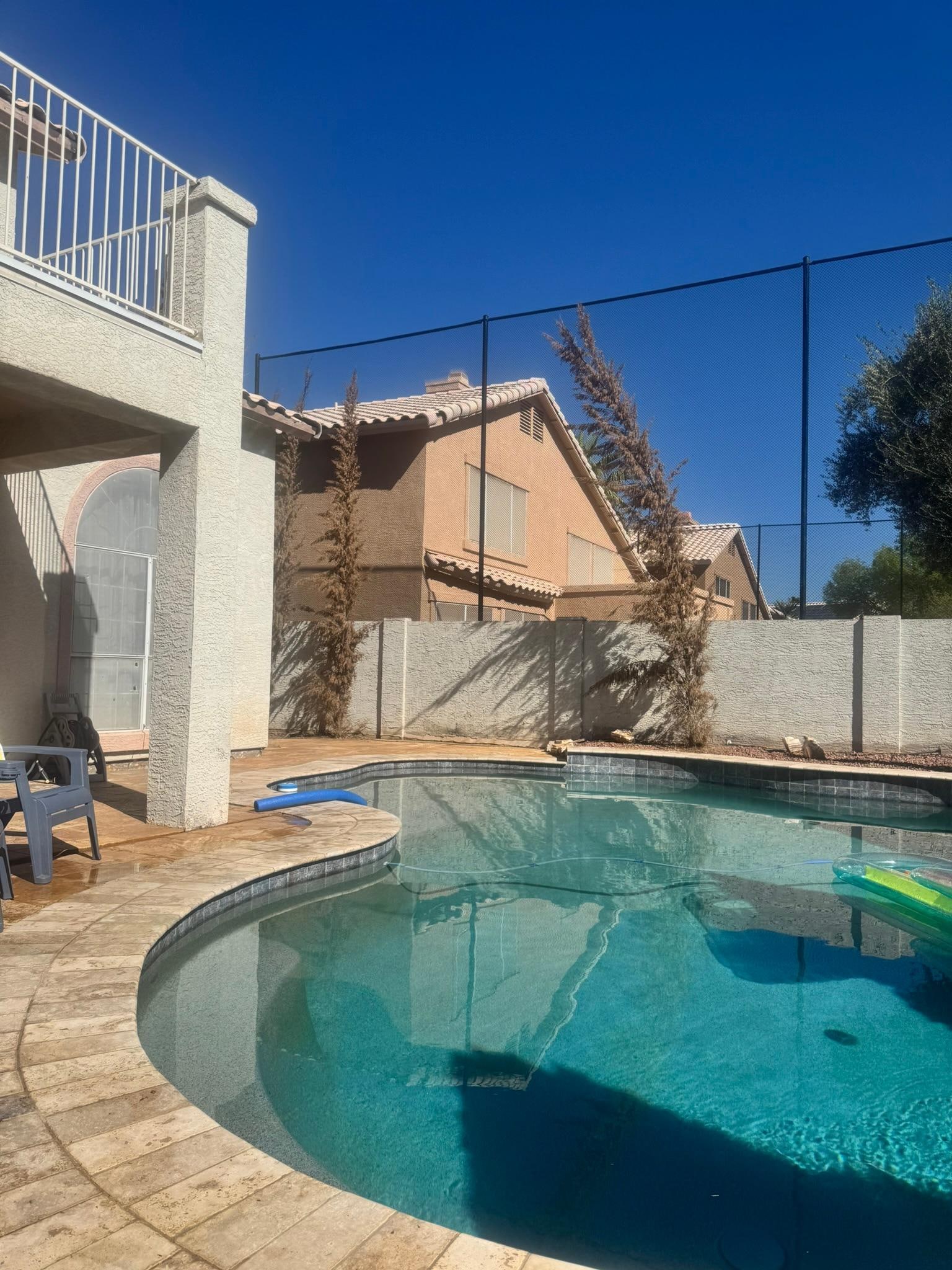 This is a photo of just to the dead trees most the trees are either dying or dead around the pool