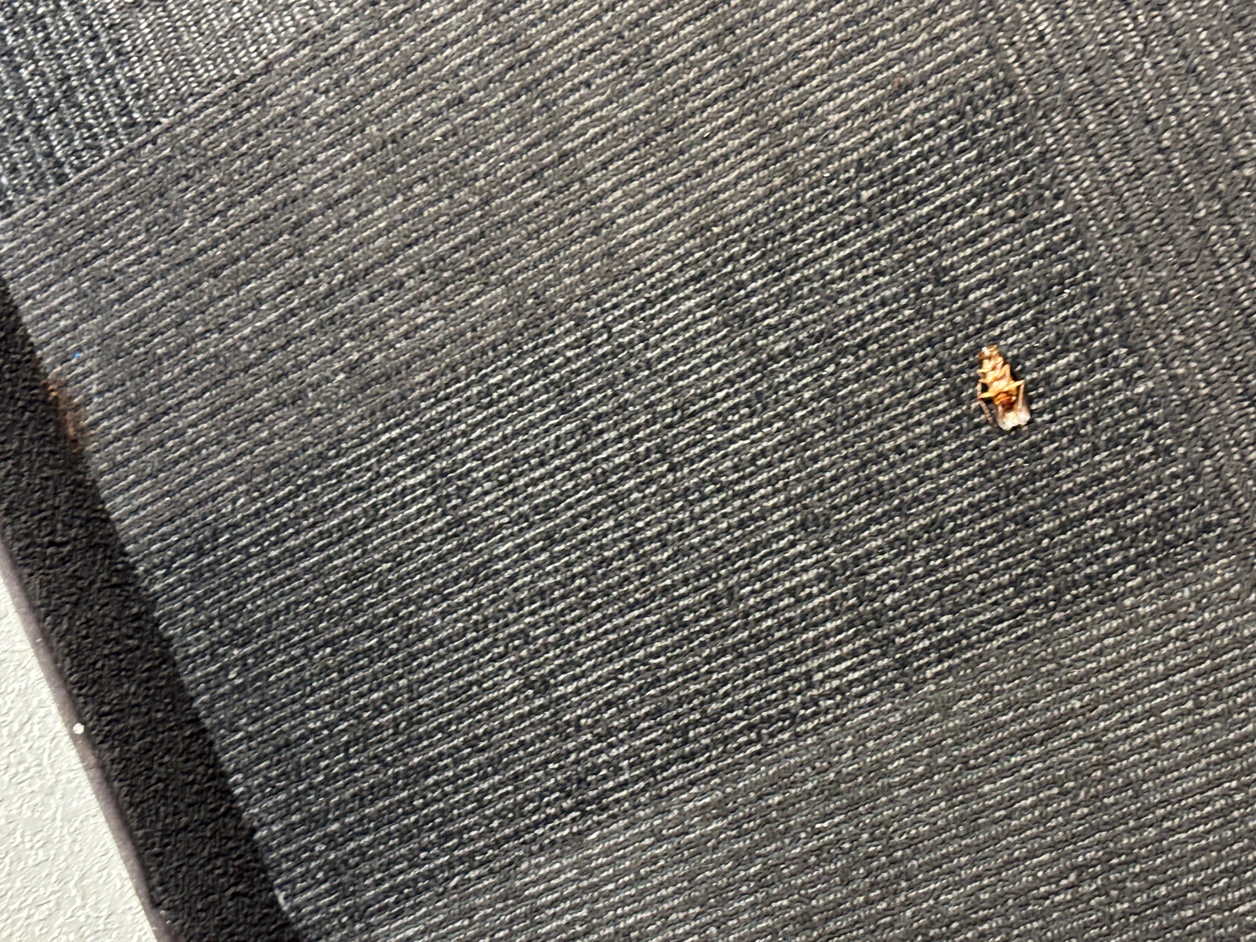 Roach in hallway my entire stay 