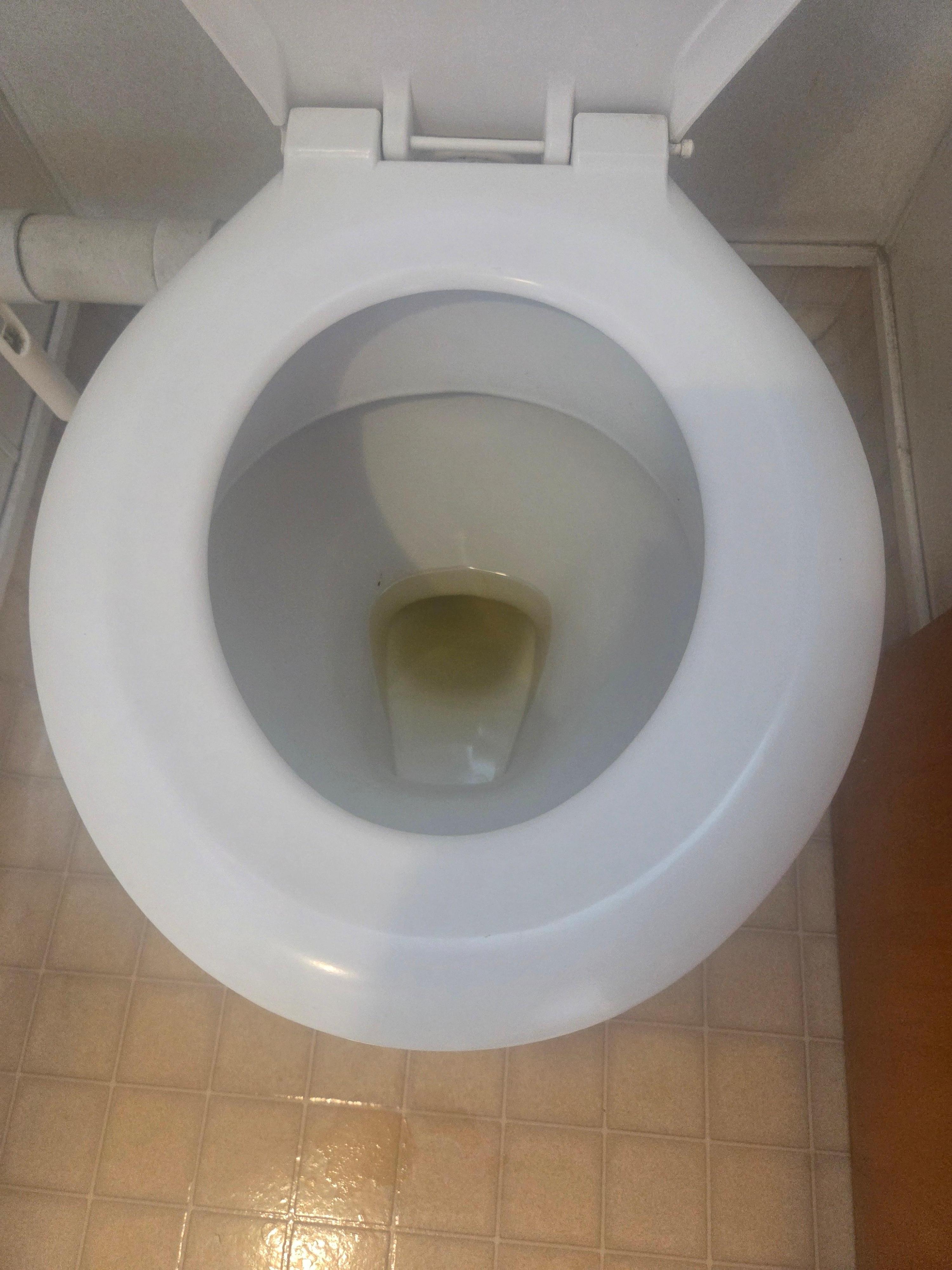 Toilet full of urine 