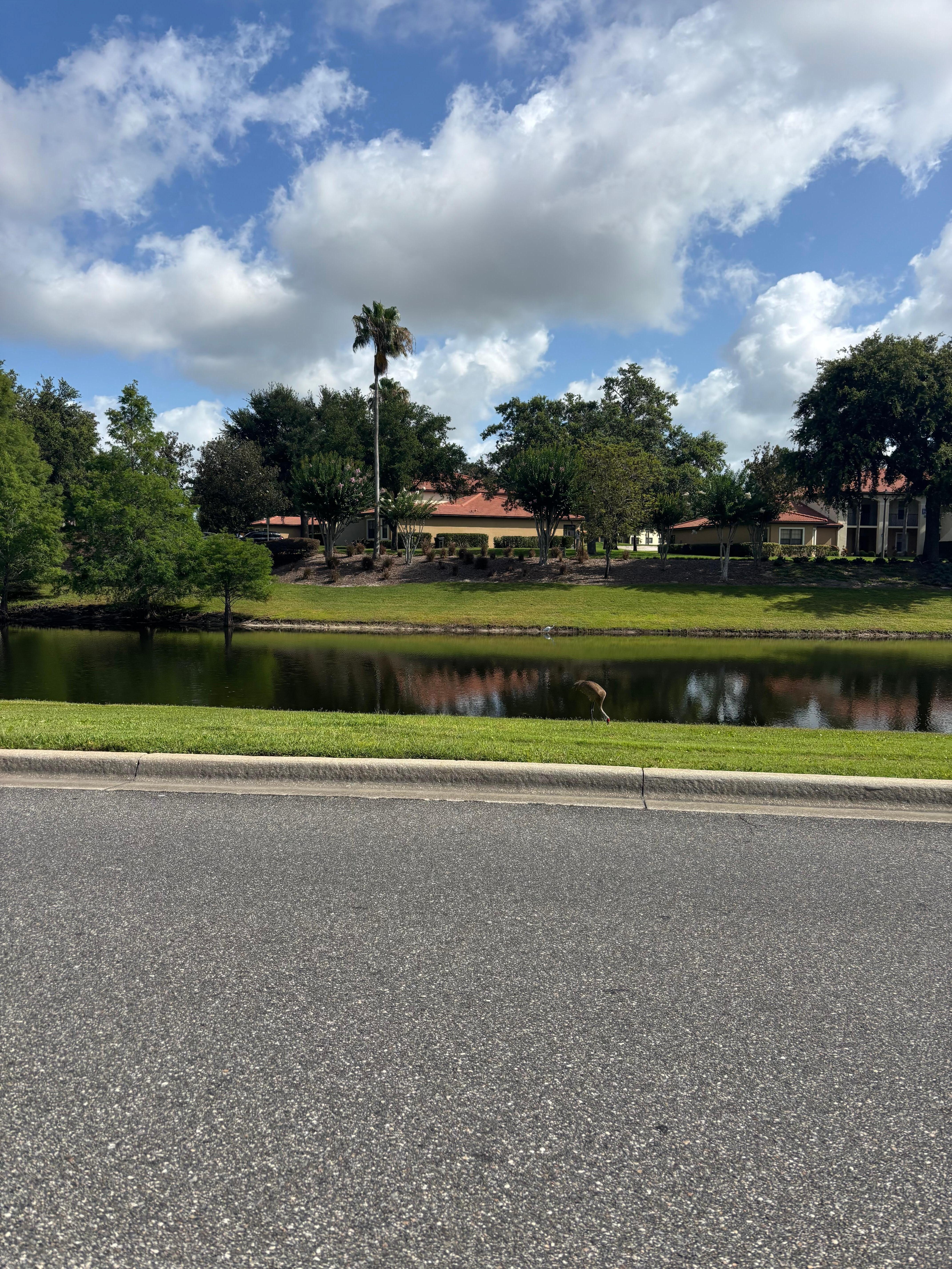 Neighborhood 