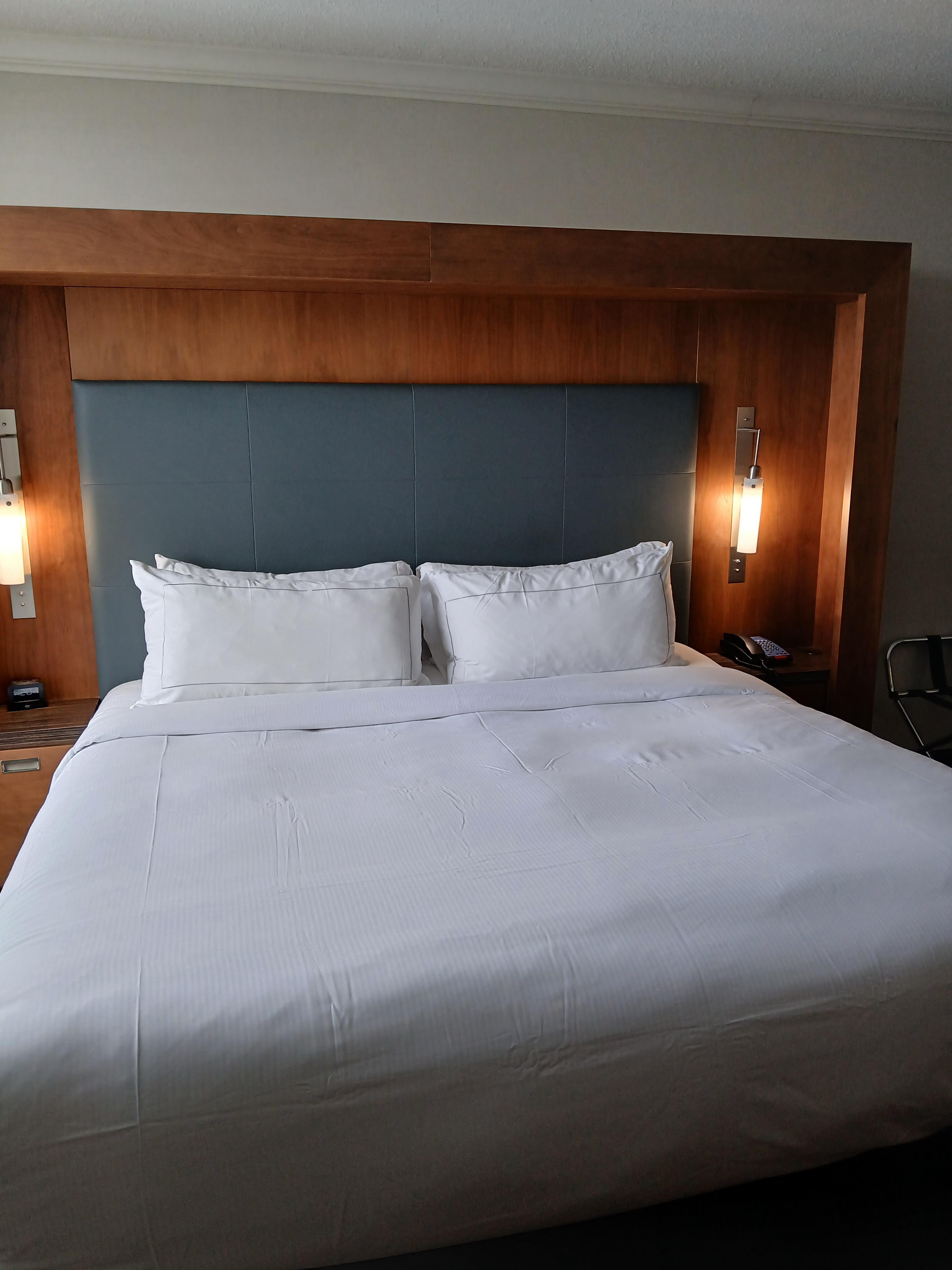 Comfy bed 
