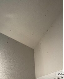 moths and mosquitoes were everywhere inside - this is just one corner by the entrance