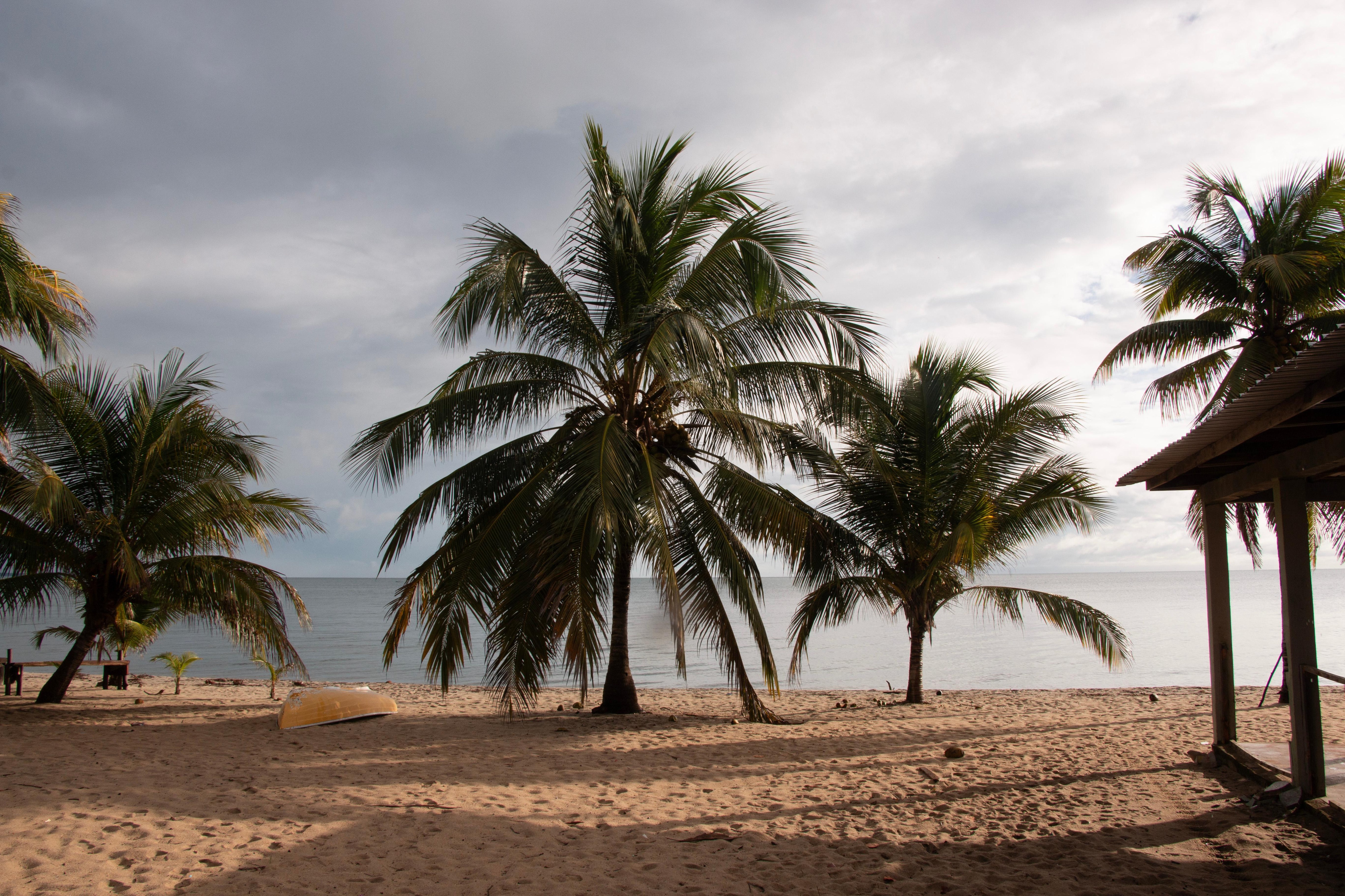 The beach, just a very short walk away.