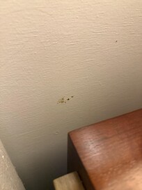 Mysterious spot on the wall.