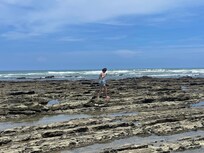 Tide Pools a ten minute drive away