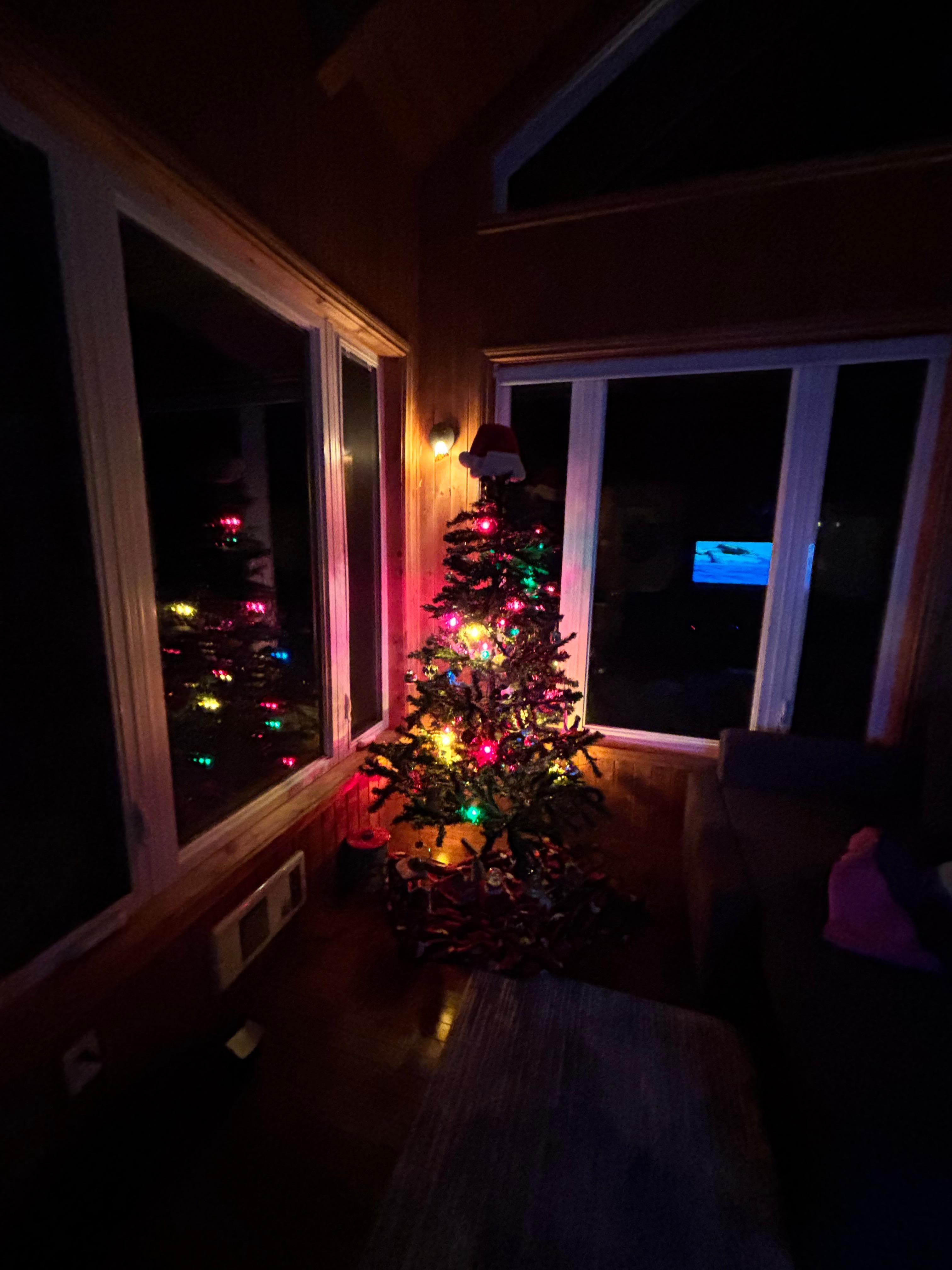 Happy to see a Christmas tree!