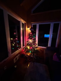 Happy to see a Christmas tree!