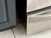 Bug traps!