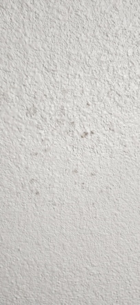 Black Mold