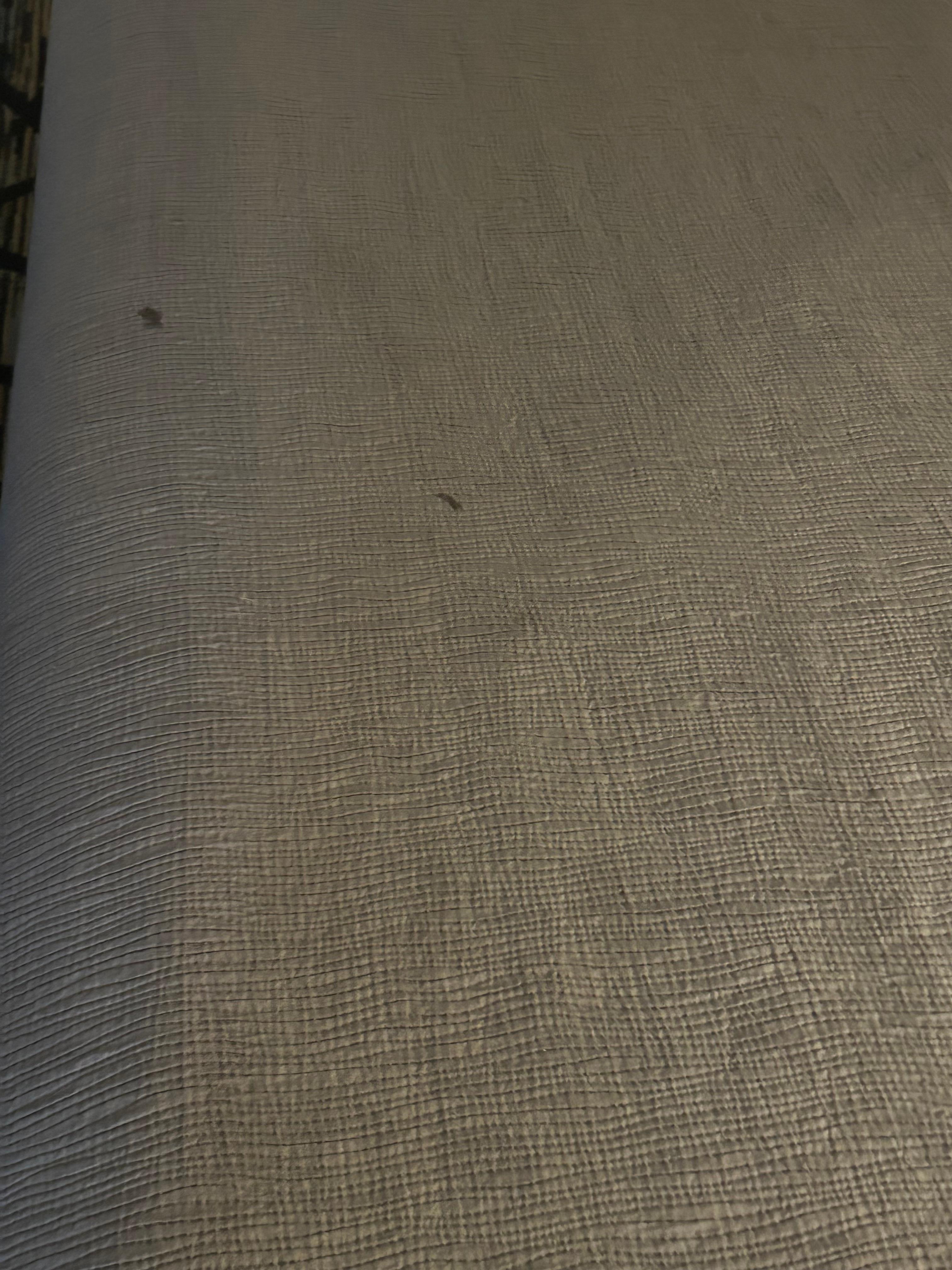 Stains on the bedsheets.