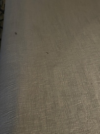 Stains on the bedsheets.