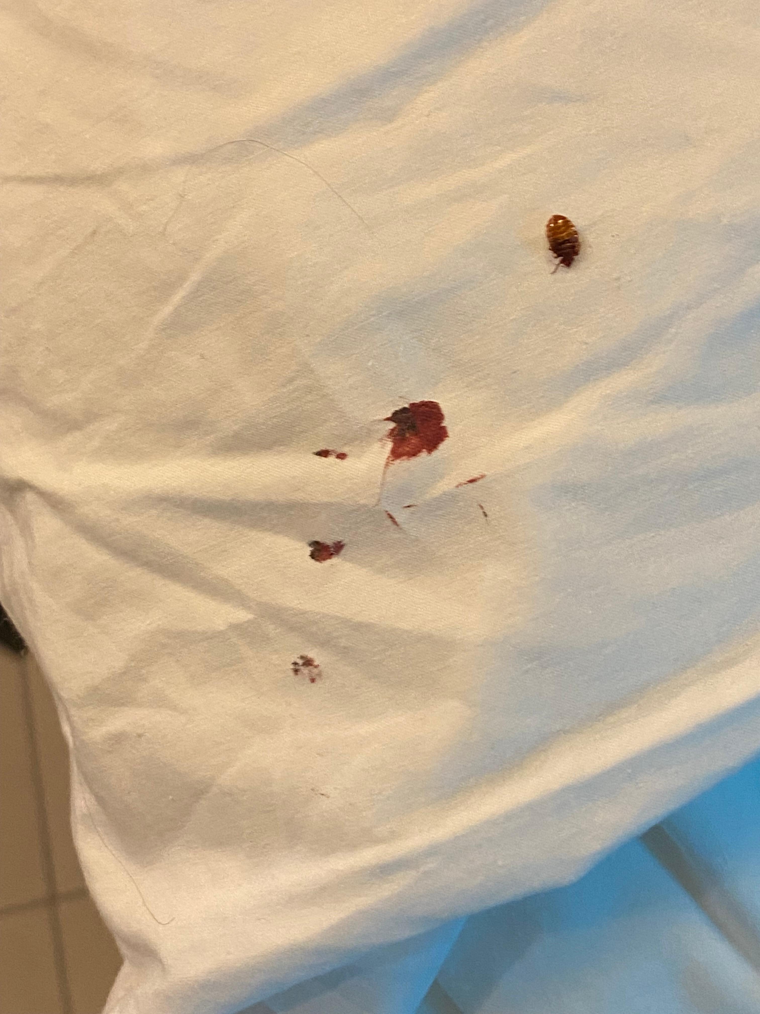 Tick bite me 