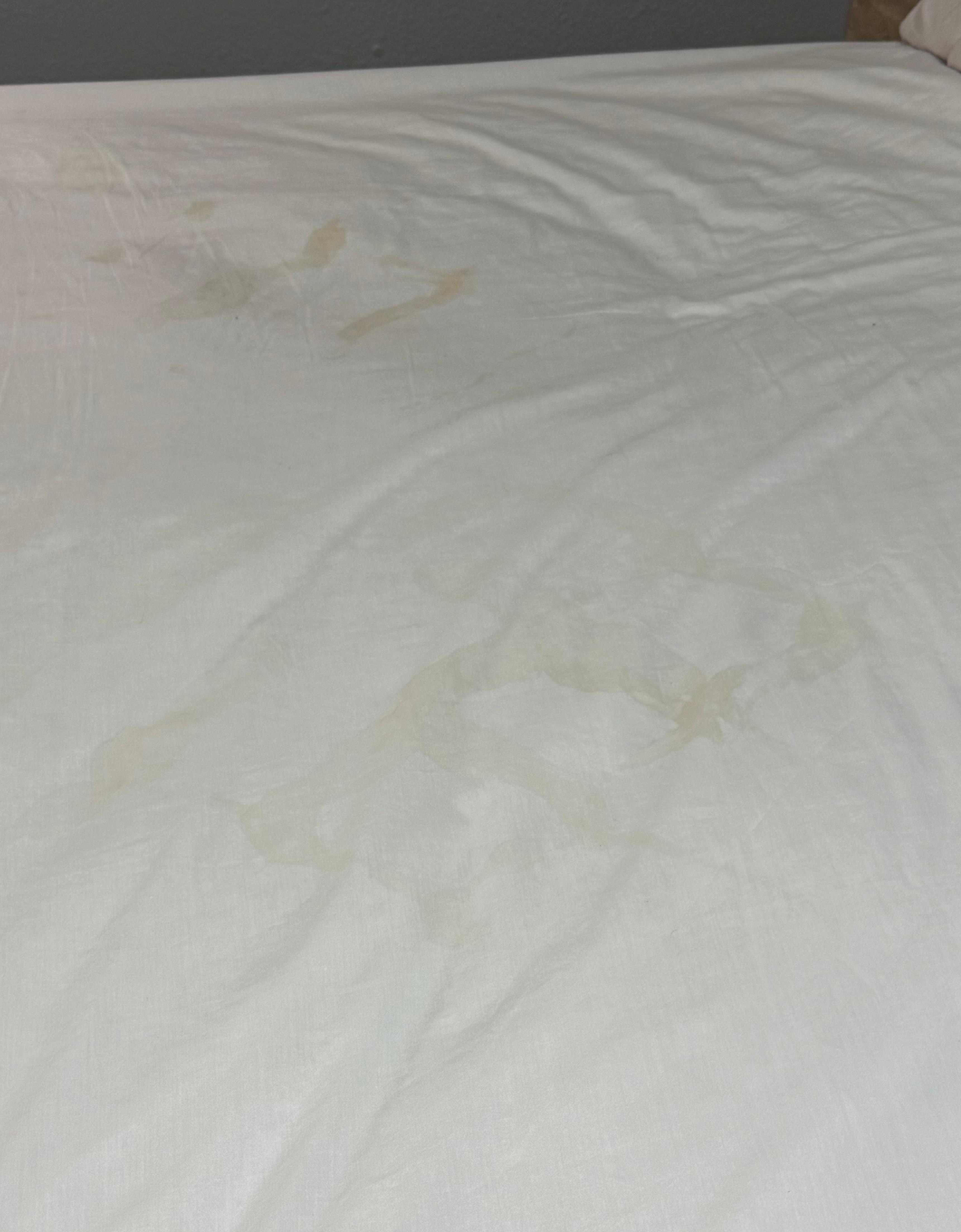 Overall of urine stains. Nasty.  