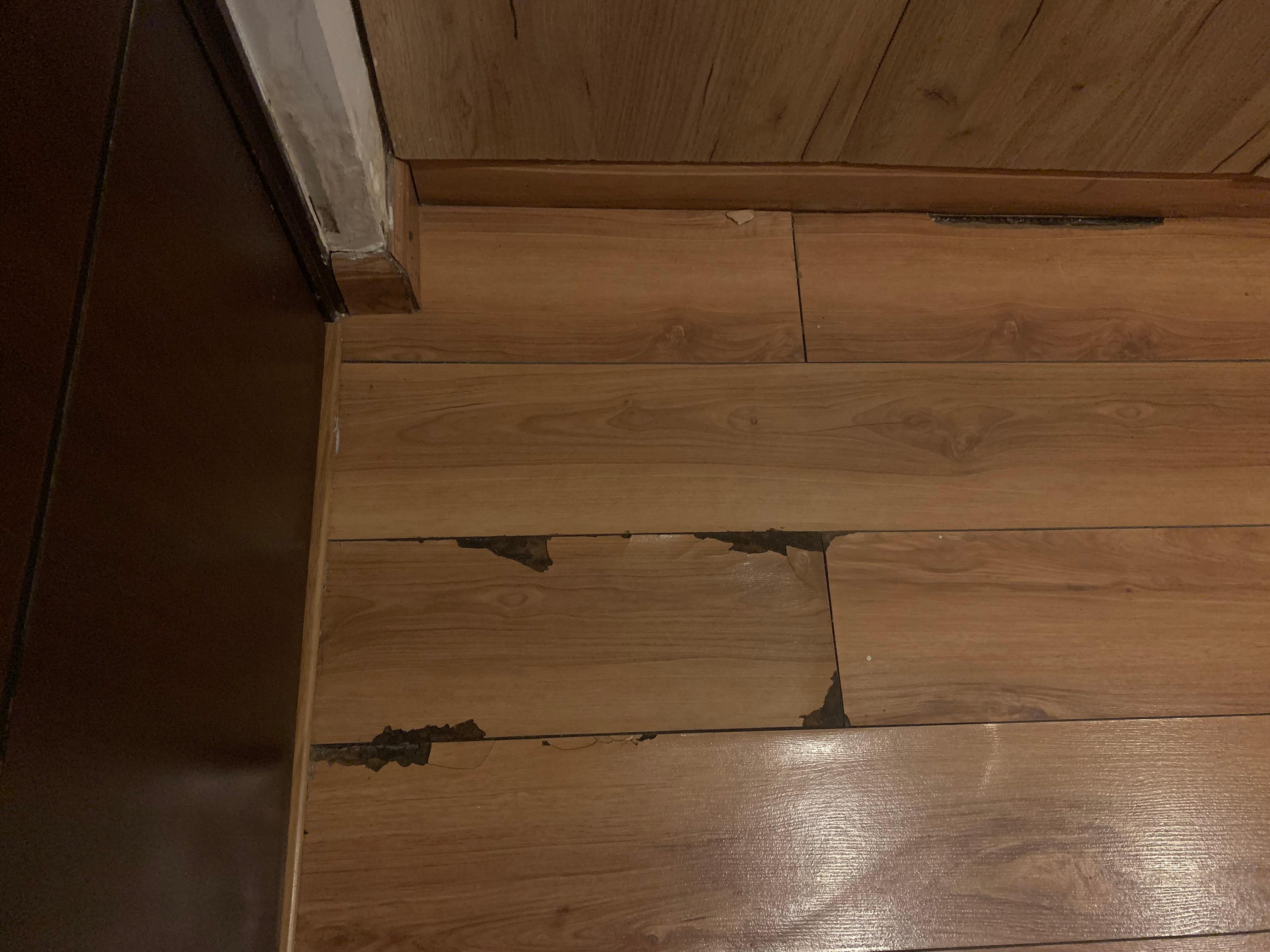 Flooring falling apart in several spots