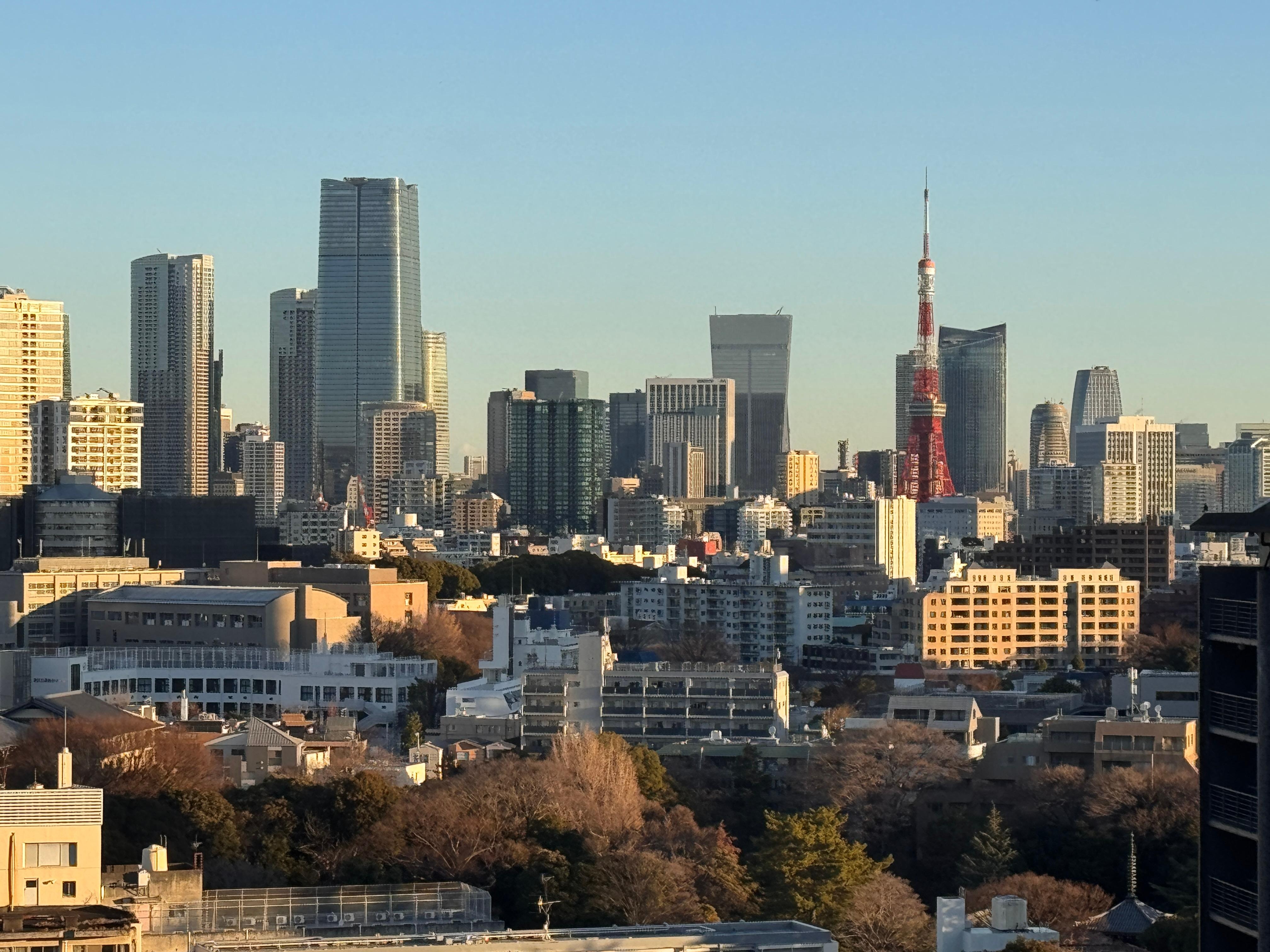View from 15th floor