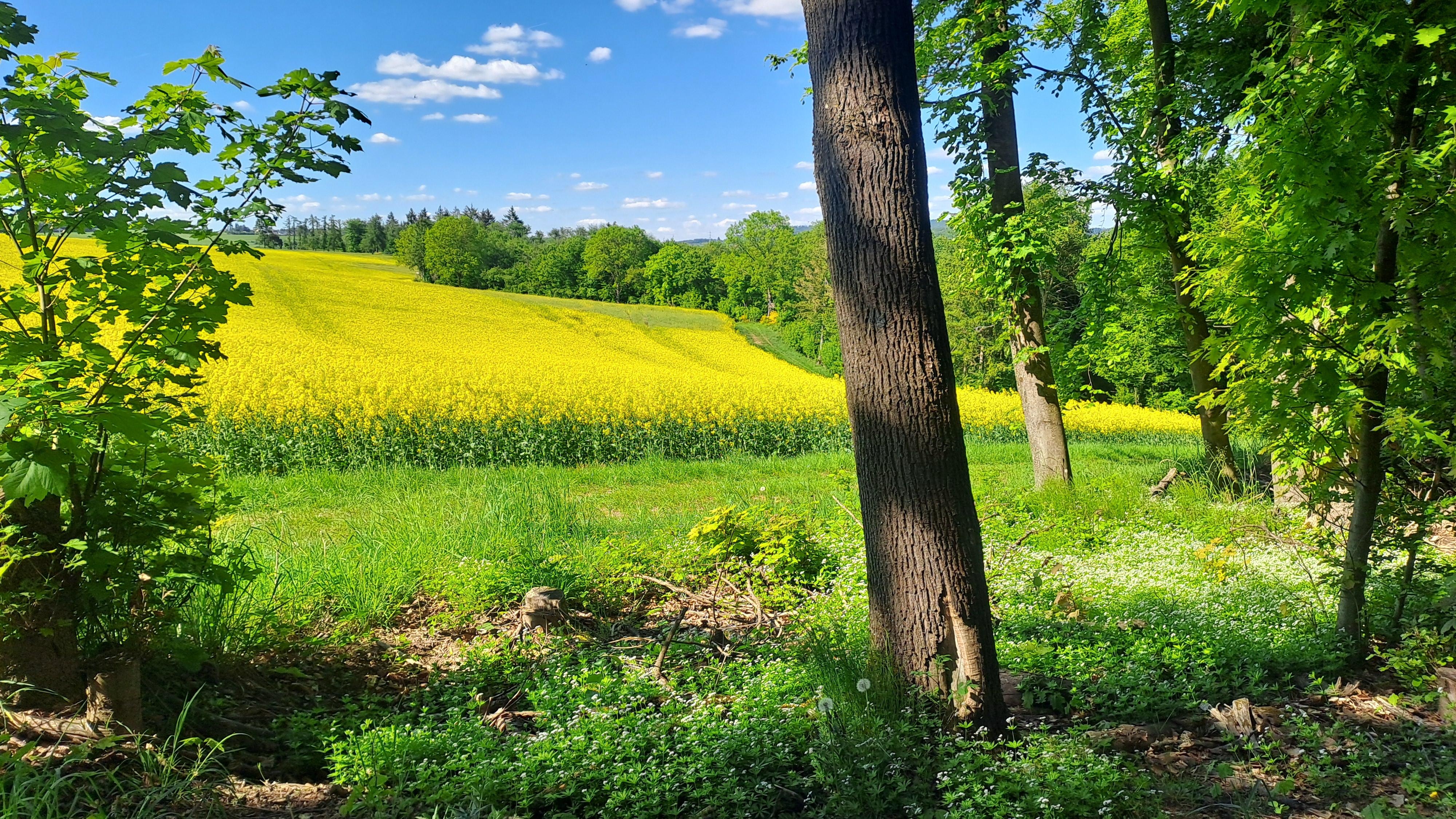 Omgeving appartement