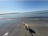 And, of course, loved their time on beach early each day!