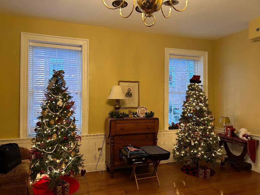 President Andrew Johnson Room Christmas Trees