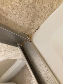 Mold, hair in shower