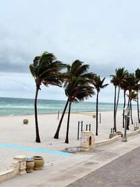 Boardwalk from the terrace balcony