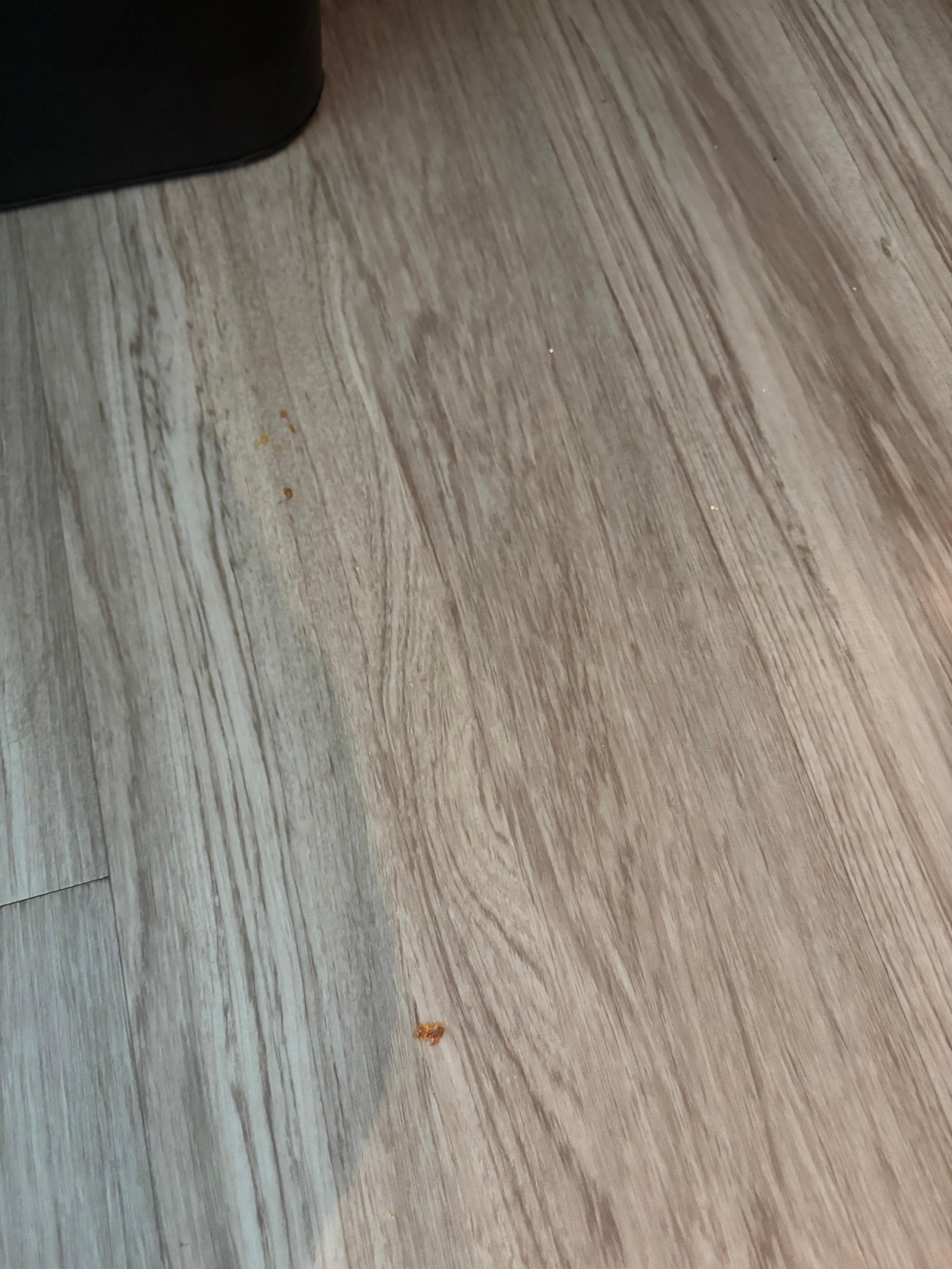 Dried food on floor upon check-in