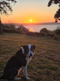 Alle genießen den Sonnenuntergang