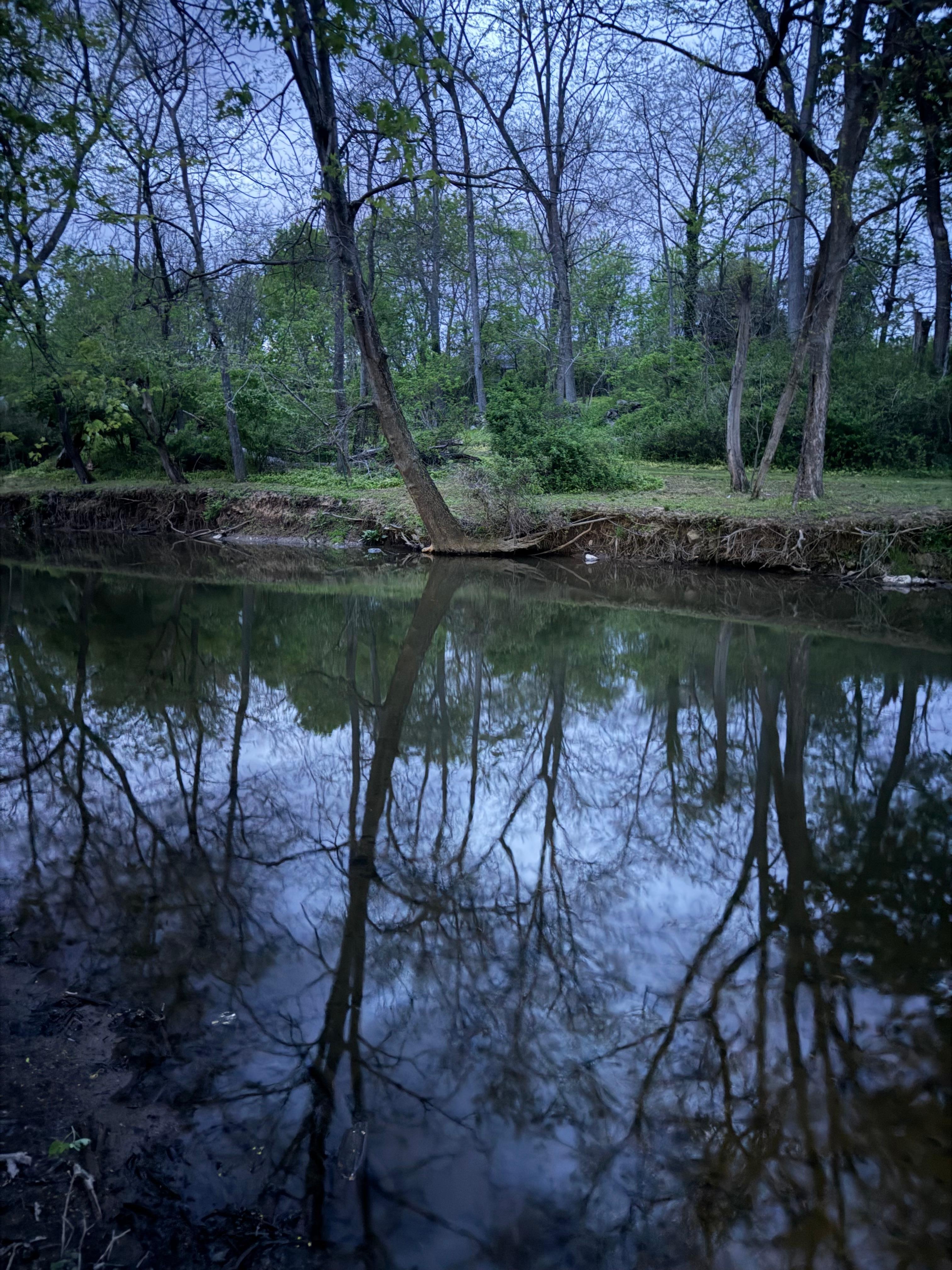 Creekside at dusk