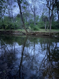 Creekside at dusk