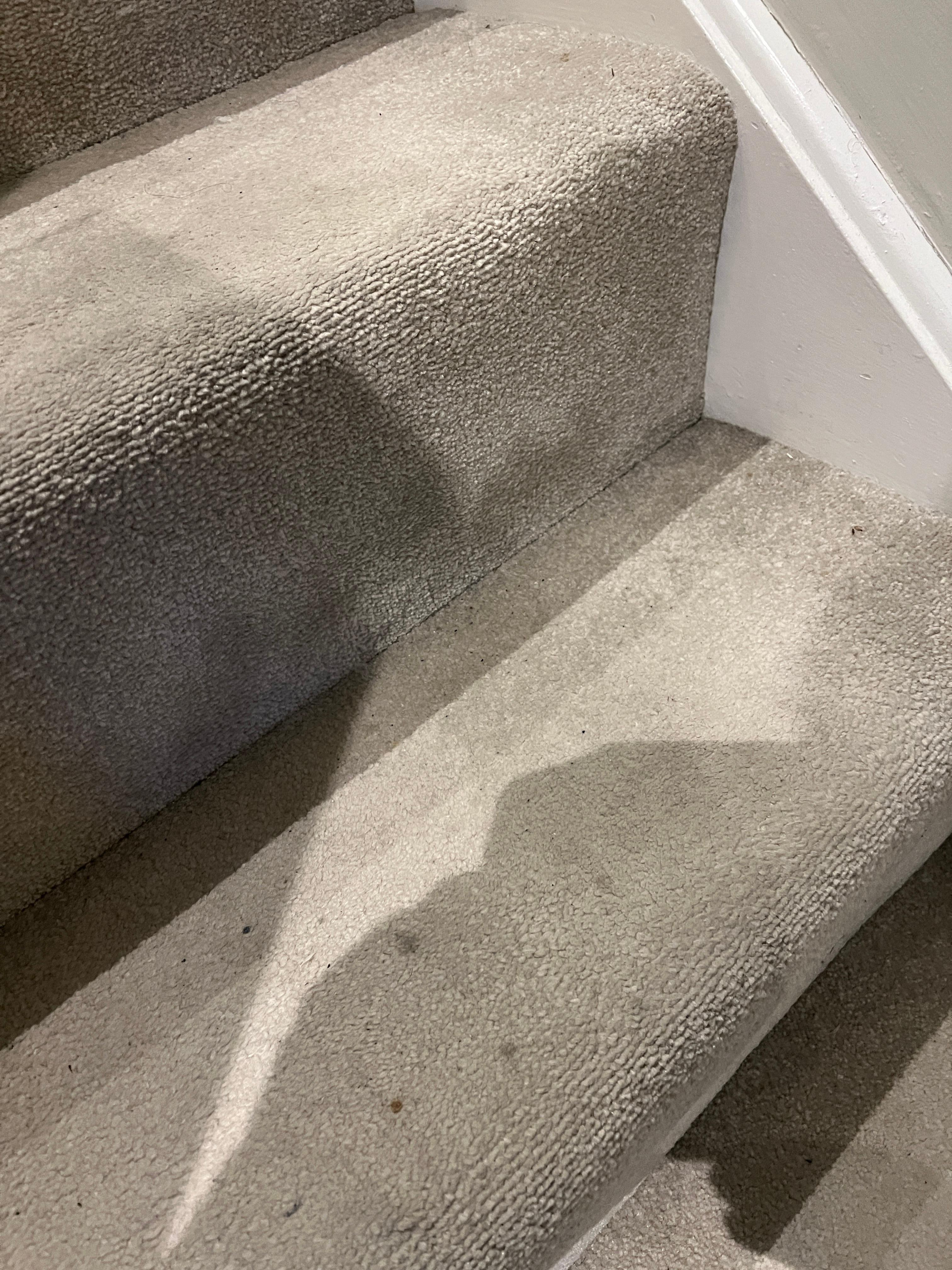 Stairs, hairs and marks all over