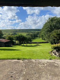 View from the back door