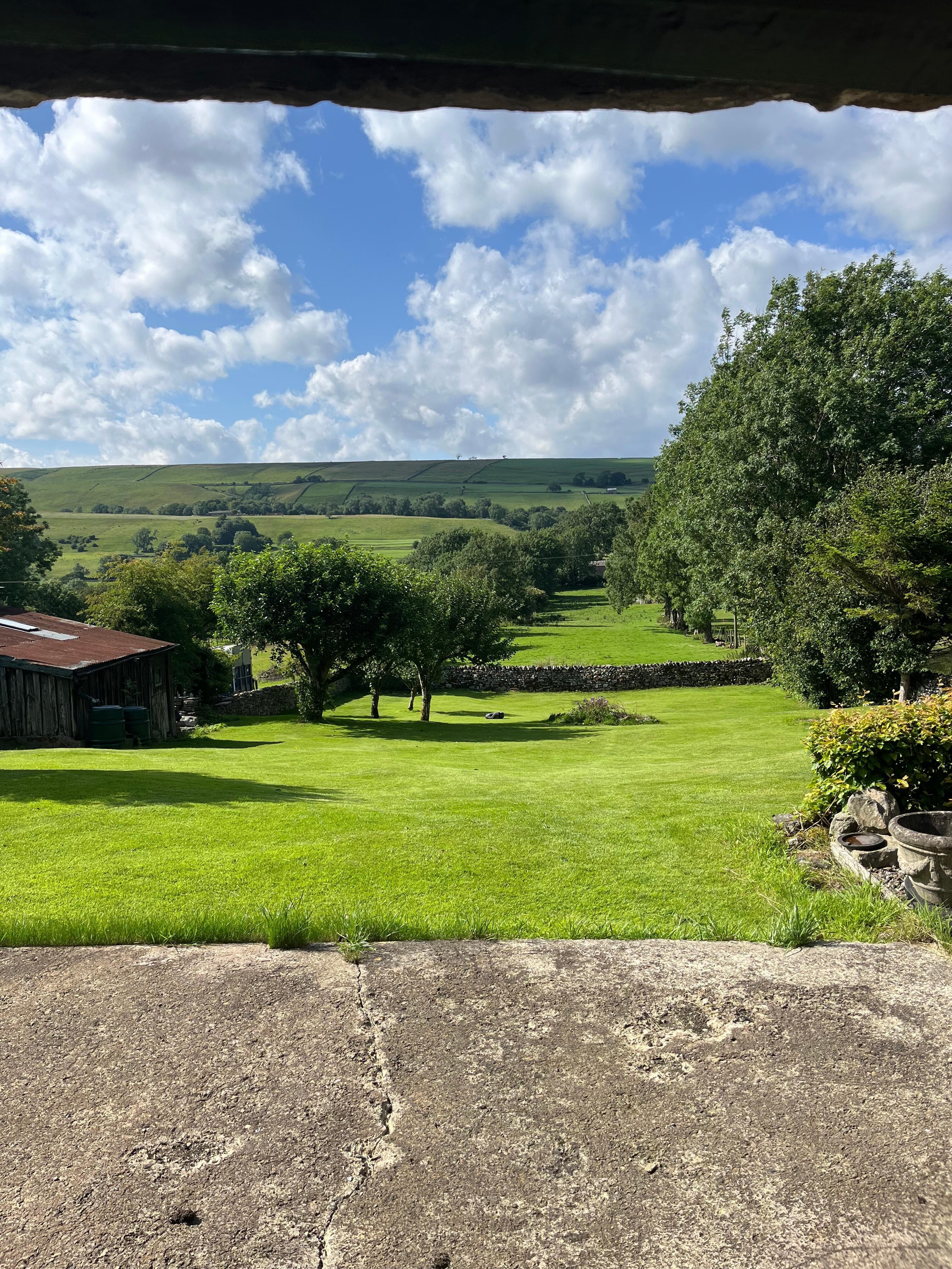 View from the back door 