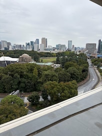 Vom Top Roof des Hotels Blick auf Tokyo