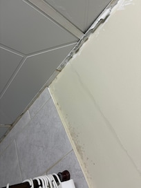More mold