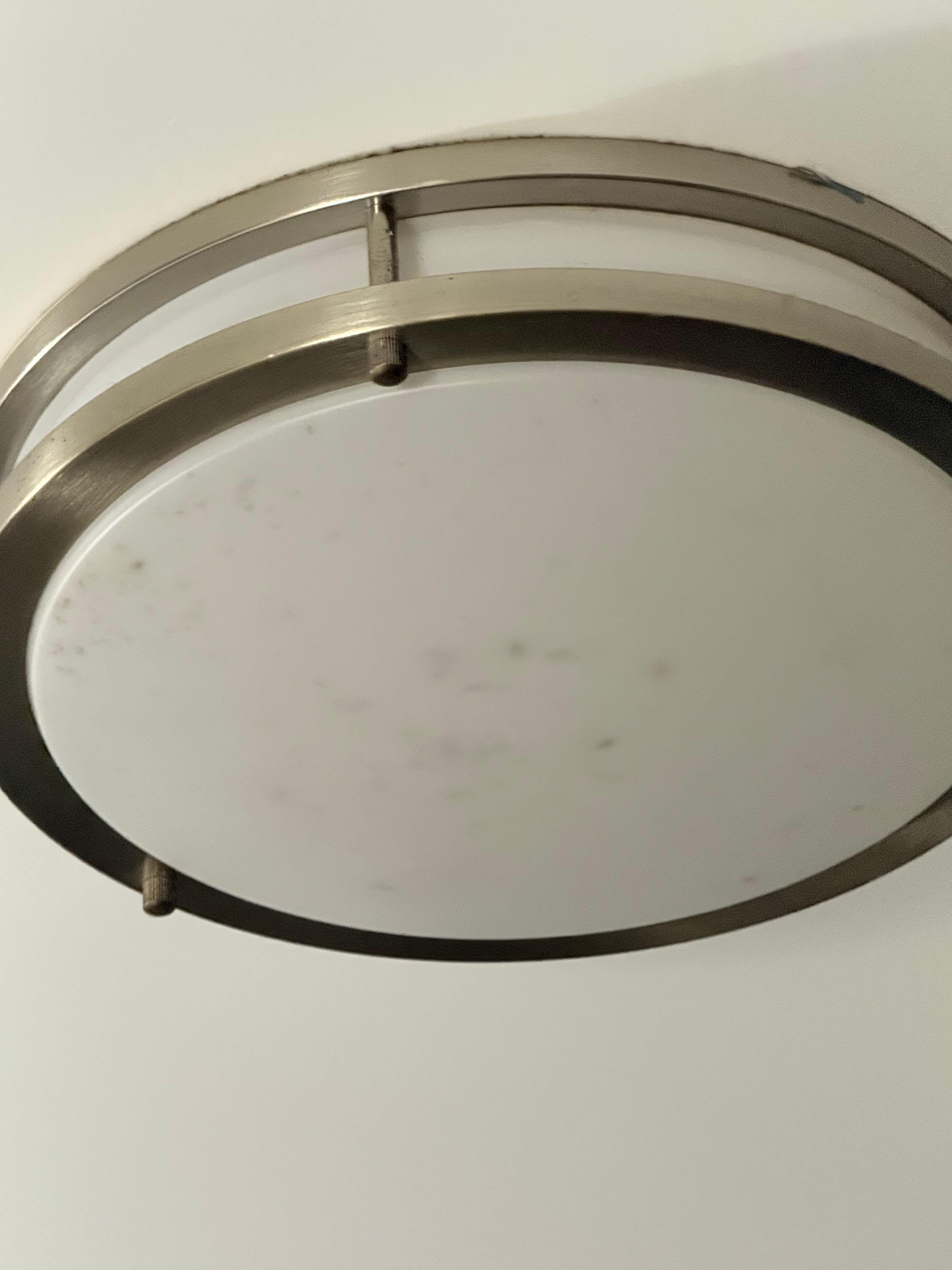 Light above bed full of bugs