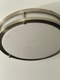 Light above bed full of bugs