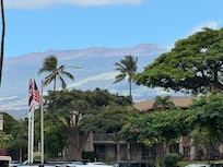 View of unit between two tall palm trees