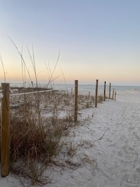 Walkway from the front of the house.