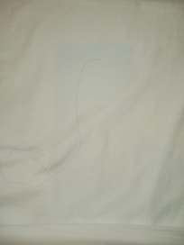Stain on sheets not changed