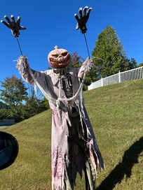 Neighborhood was decorated for the Halloween season.